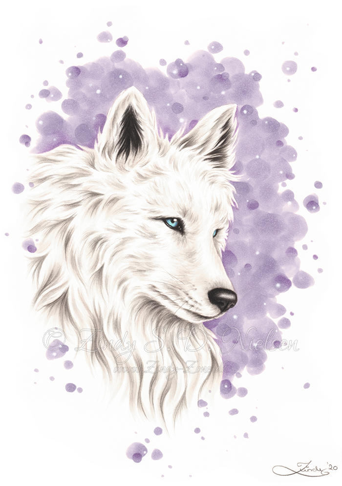 The White Wolf by Zindy on DeviantArt