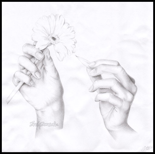 Loves Me Loves Me Not By Zindy On Deviantart Loves Me Loves Me Not By Zindy On Deviantart