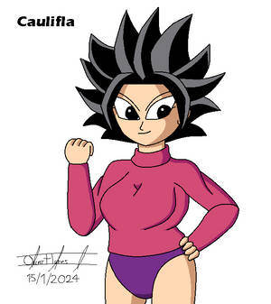 Caulifla sweater and panty