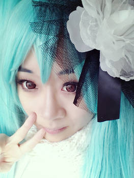 Miku Cameilla Cosplay