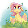 FlutterShy