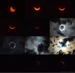 Total Solar Eclipse 2017 Collage
