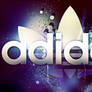 adidas Contest 2