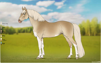 Horse Adopt | Open |