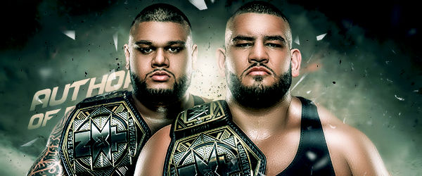 WWE Authors Of Pain