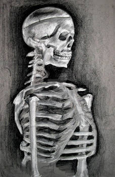 Skeleton upper half
