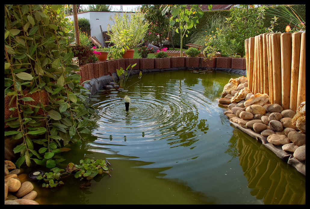 Garden pond