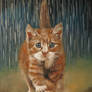 Kote Under the Rain