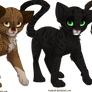 Cat adoptables