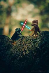 Vader duels obi-wan 2