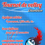 Tournoi de volley 2011