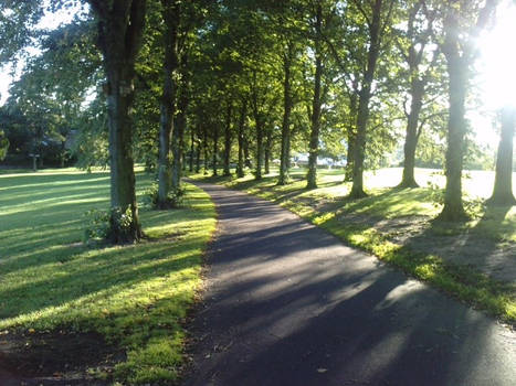 Inverleith Summer