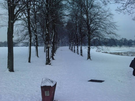 Inverleith Winter