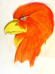 Phoenix Head 2