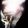 Fallen Angels 3