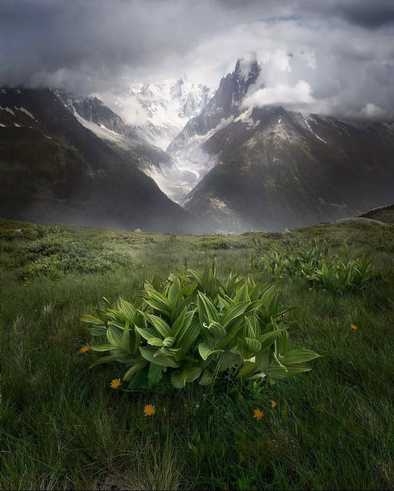 French Alps by HandsomeBlizzard on DeviantArt