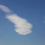 Penis Cloud