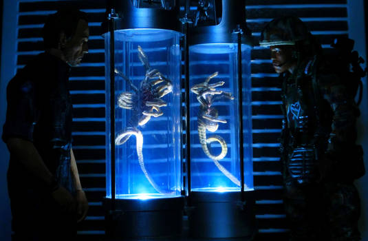 Explore the Best Facehugger Art | DeviantArt