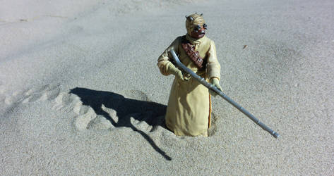 TUSKEN RAIDER, SEARCHING FOR DROIDS AND A FARMBOY