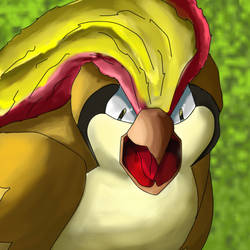 Pidgeot Paint