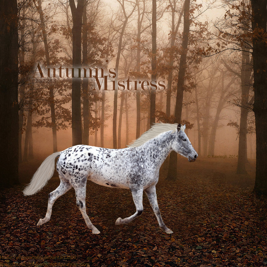 Autumn's Mistress Custom