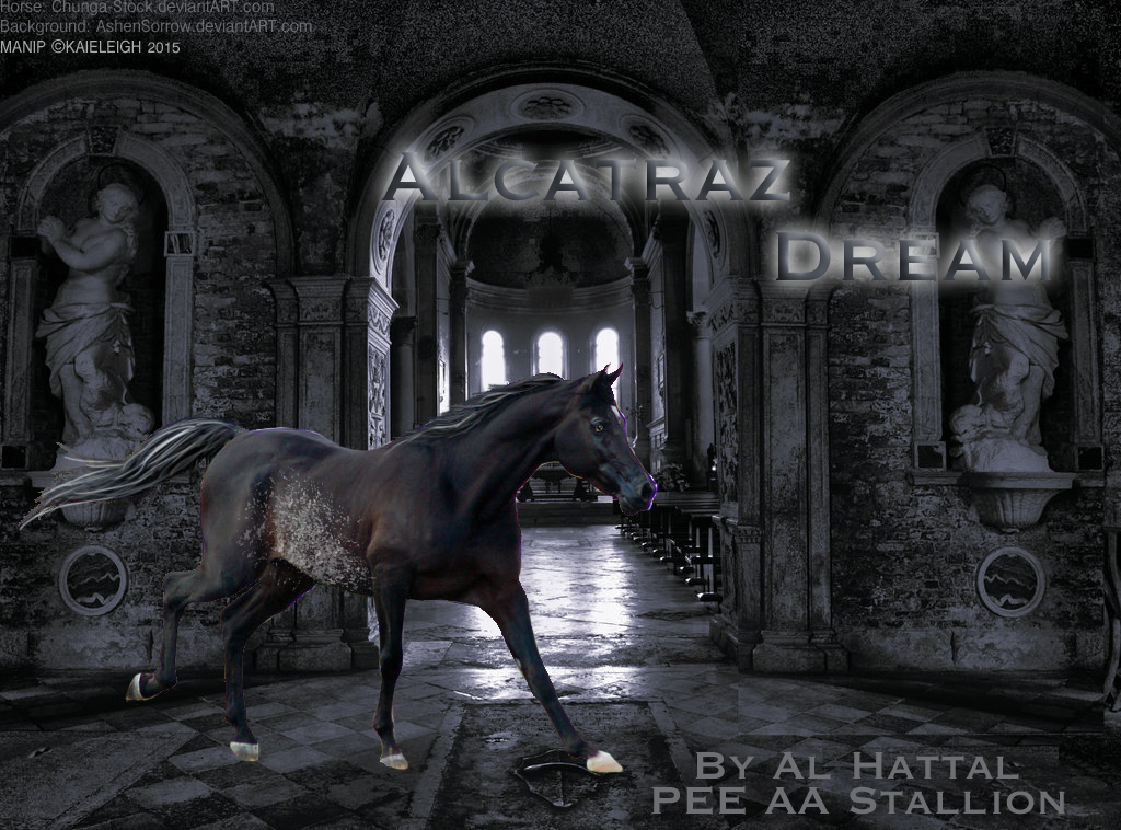 Alcatraz Dream Contest Entry