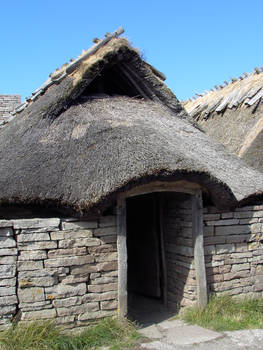 old viking house