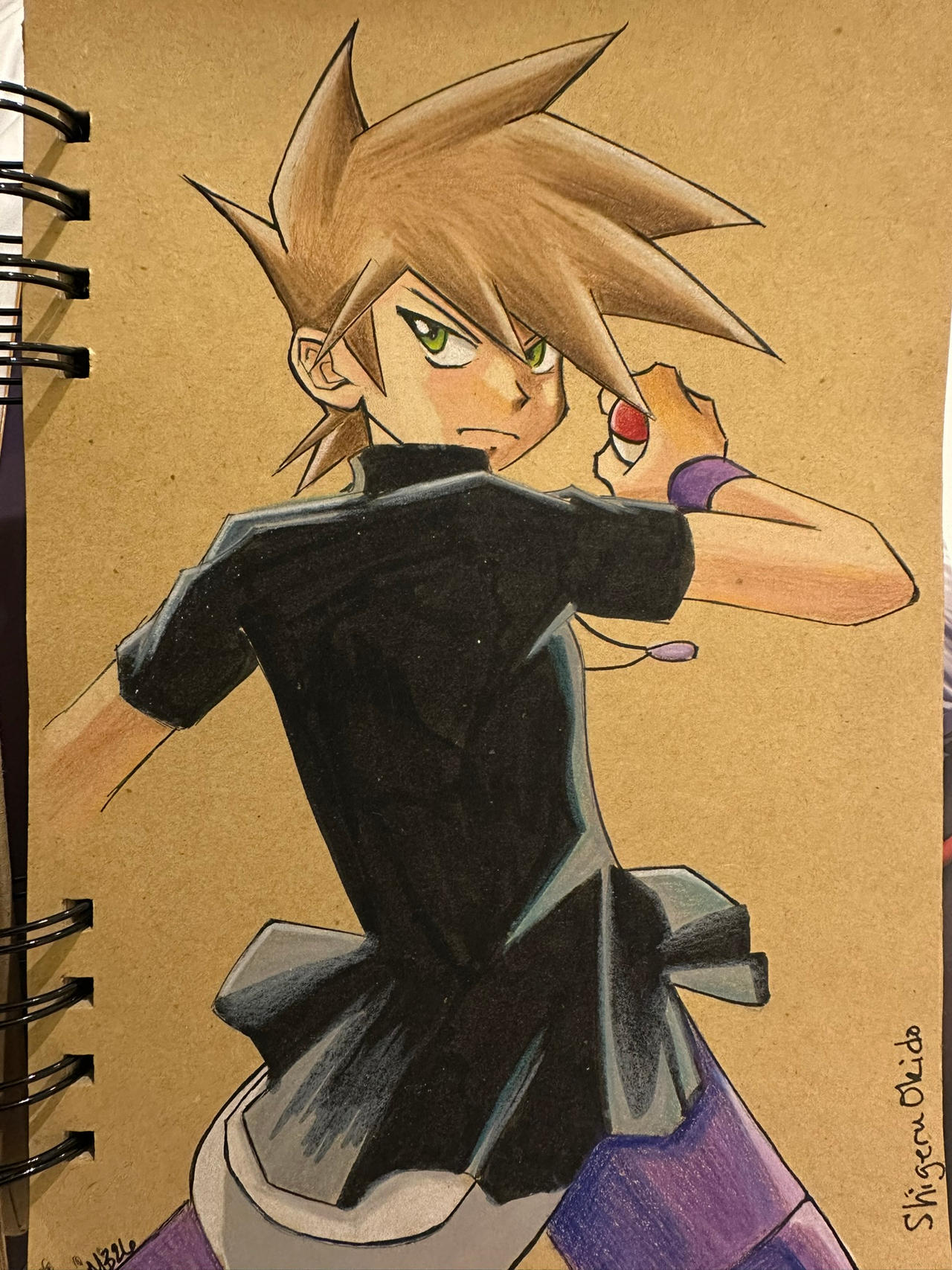 Hotel Art: Pokemon Adventures, Blue Redraw