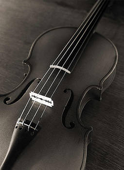 violin