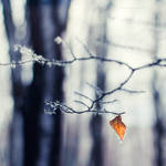 ...winter -1-... by OlegBreslavtsev