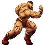 Zangief (Street Fighter Anniversary FGE Version)