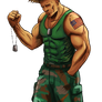 Guile (Street Fighter Anniversary FGE Version)