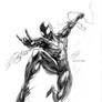 SPIDER-MAN Black Suit