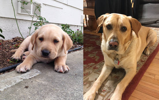 Then and Now: Kirby 5 Years Later