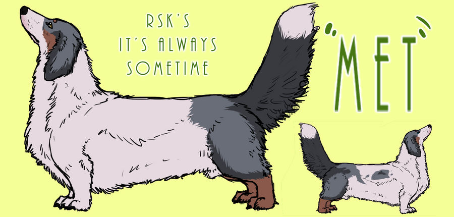 RSK's It's Always Sometime-Long-haired dachshund