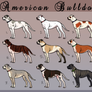 American Bulldog Adopts - OPEN