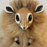 Dik-Dik Furry Creature