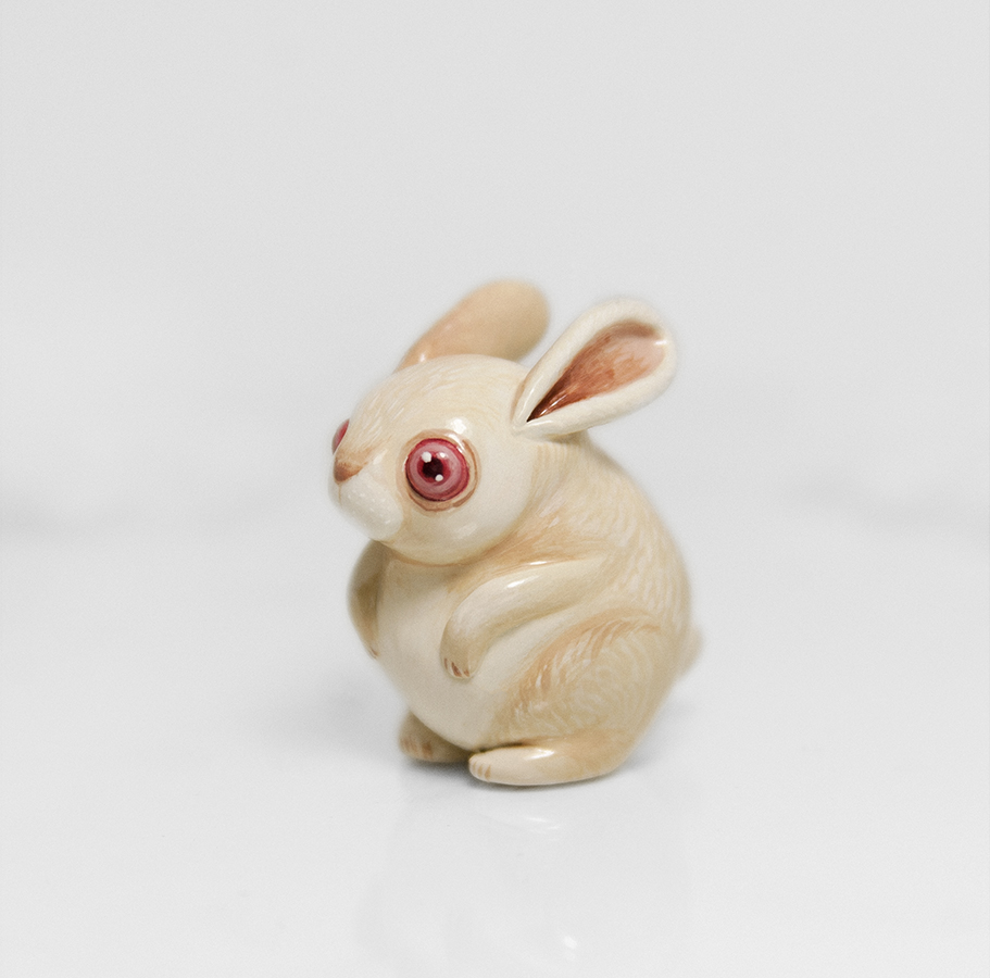 Albino Rabbit by RamalamaCreatures on DeviantArt