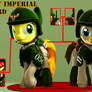 Pony Imperial Guard Armor[Download]