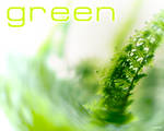 Greeeen by tiefel