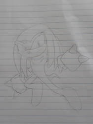 Knuckles The Echidna Random Doodle