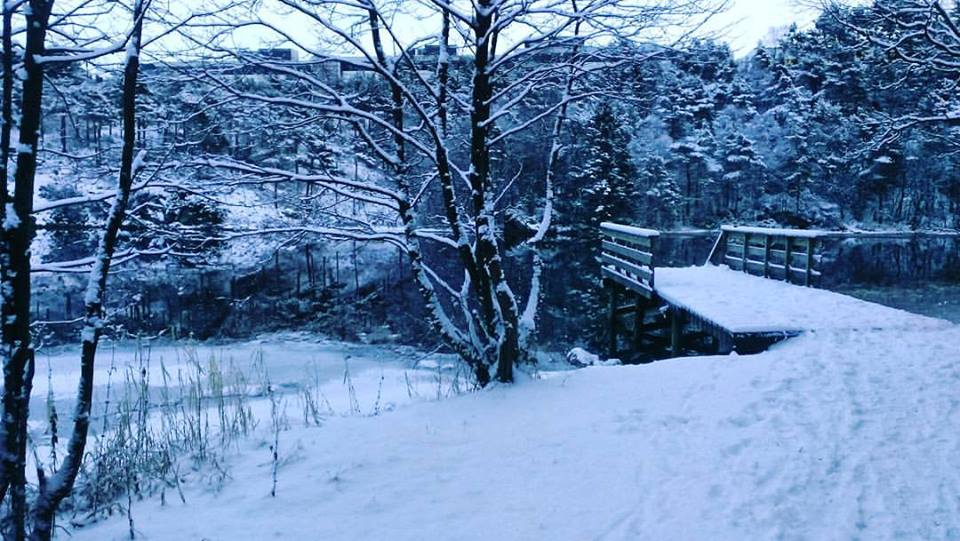 Dock Crossing to Winter