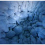 inside the shoggoth