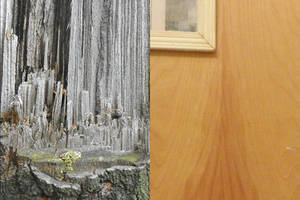 fortress textures