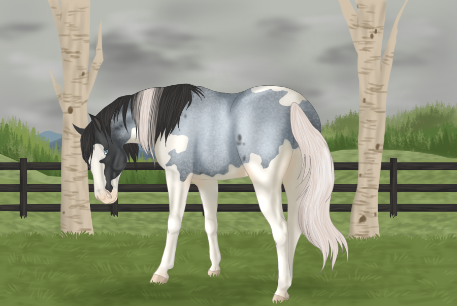 SG Talladega Nights by SolemnGrandeur on DeviantArt