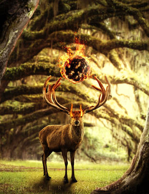 Keeper of The Woods by cheker123