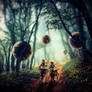 Wanderers
