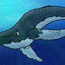 Humpback Whale Coloured