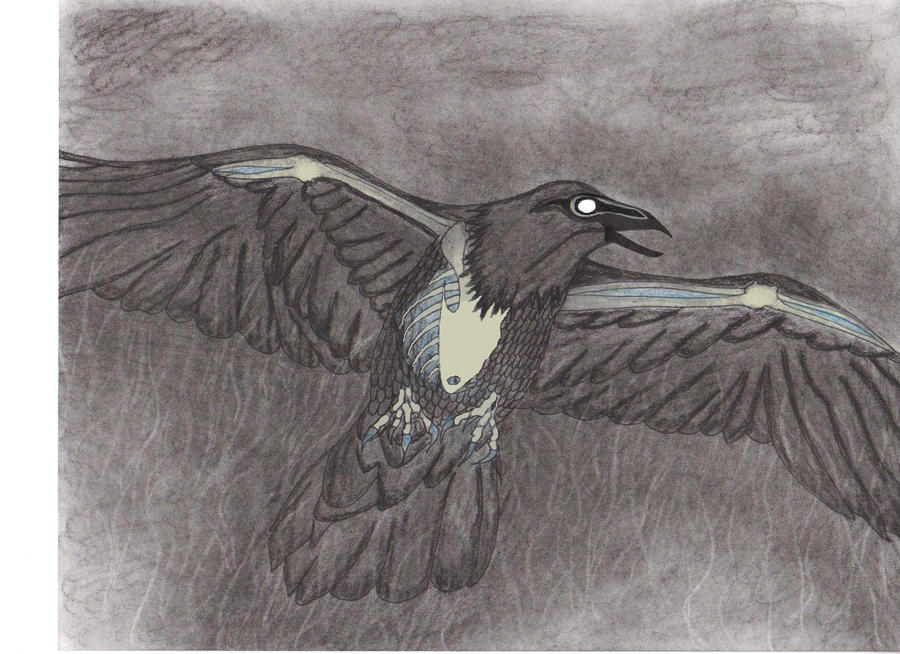 Raven Shadow by Glorelle on DeviantArt
