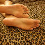 Cheetah Print SOLES